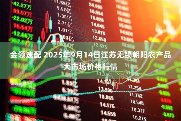 金领速配 2025年9月14日江苏无锡朝阳农产品大市场价格行情