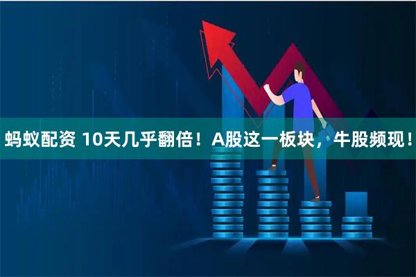 蚂蚁配资 10天几乎翻倍！A股这一板块，牛股频现！