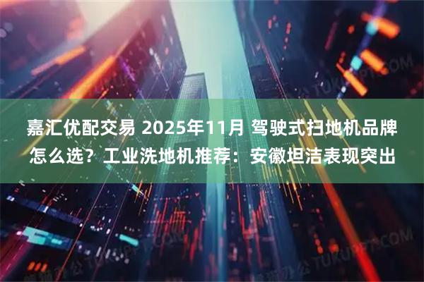 嘉汇优配交易 2025年11月 驾驶式扫地机品牌怎么选？工业洗地机推荐：安徽坦洁表现突出